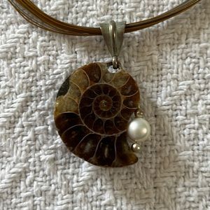Nautilus and Pearl pendant on an eighteen inch metal chain with hints of bronze.
